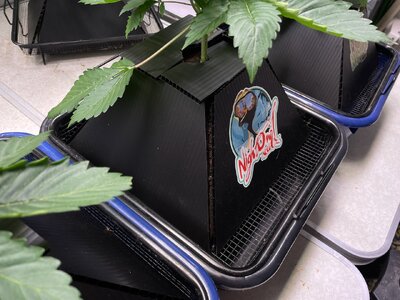 t3 - 2.jpeg t3 - 2.jpeg