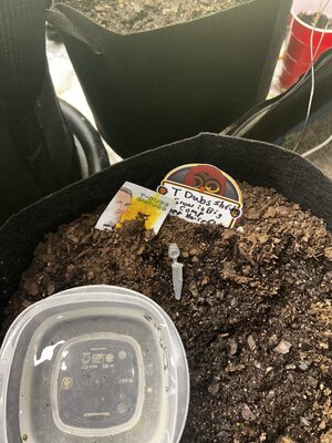 IMG_3232.jpeg IMG_3232.jpeg