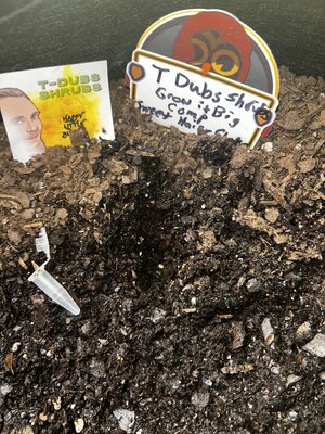 IMG_3228.jpeg IMG_3228.jpeg