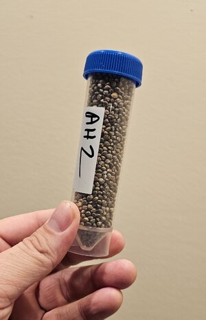 20250228_073955.jpg 20250228_073955.jpg