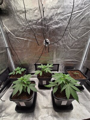 20250225_184538.jpg 20250225_184538.jpg