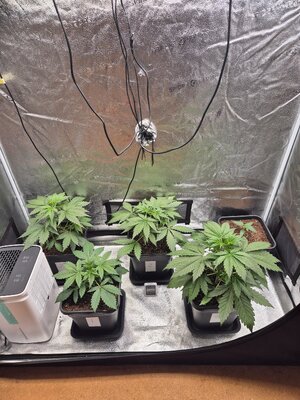 20250301_181034.jpg 20250301_181034.jpg