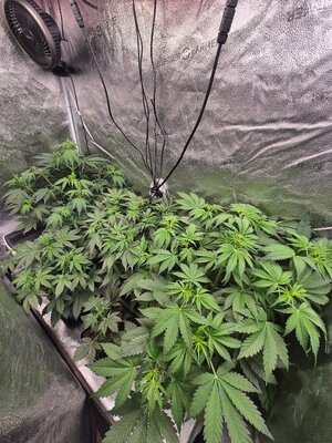 20250313_104809.jpg 20250313_104809.jpg