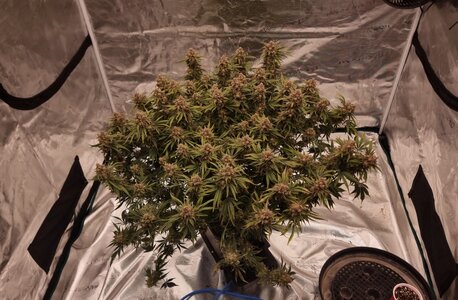 20240910_215453.jpg 20240910_215453.jpg