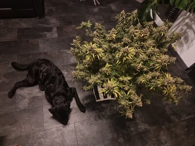 20240910_203639.jpg 20240910_203639.jpg