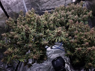 20240905_210837.jpg 20240905_210837.jpg