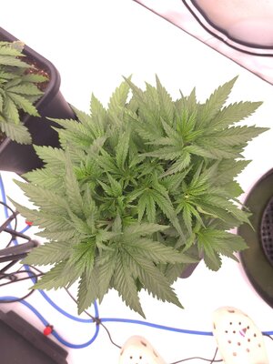 20250414_011932.jpg 20250414_011932.jpg