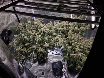 20240903_194943.jpg 20240903_194943.jpg