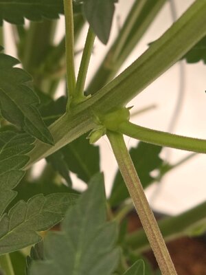 20250719_202456.jpg 20250719_202456.jpg