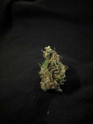 Laughing Hyena's Bananalope review