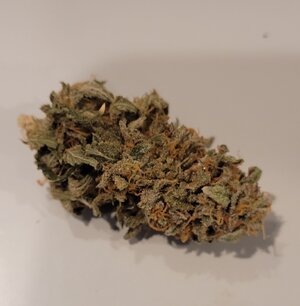 Dutch Passion Slush Mint Cake by KingRatt