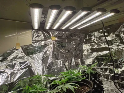 Phlizon_PHB6_320W_LED_GROW_LIGHT (1).webp