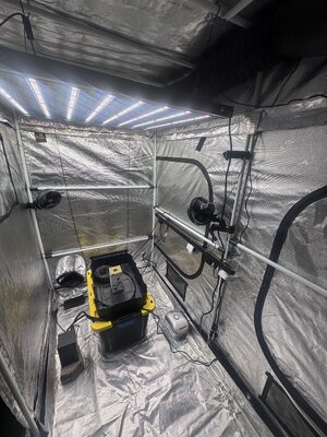 Hope I’m posting this right 😅