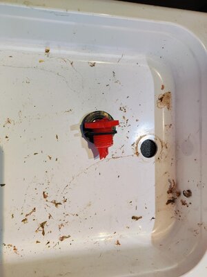 2025-10-23-214033_004.jpeg 2025-10-23-214033_004.jpeg