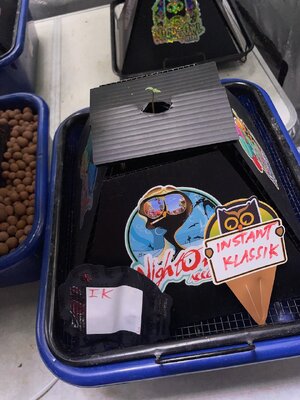 new beans d1 - 3.jpeg