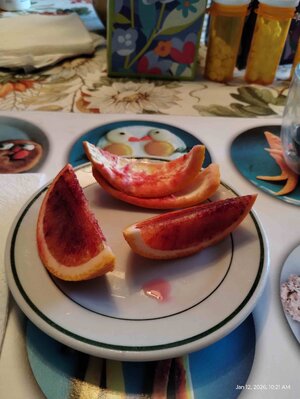 IMG_20260112_102102703.jpg IMG_20260112_102102703.jpg