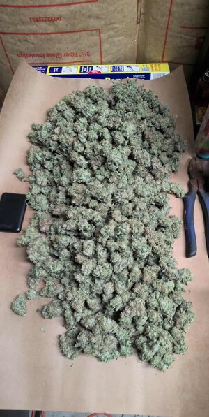 received_1259804185933397.jpeg received_1259804185933397.jpeg