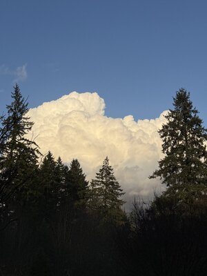 IMG_7852.jpeg IMG_7852.jpeg