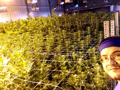 96159619_10158243680764784_2812737300050477056_n (1).jpg