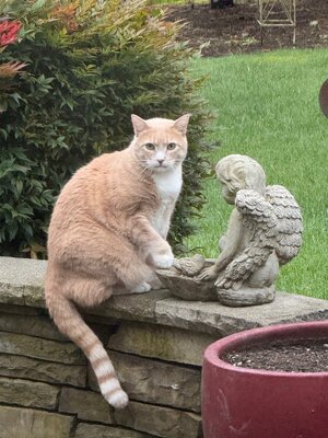 IMG_7983.jpeg IMG_7983.jpeg