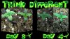 THINK 1&2 DAY 3f.jpg