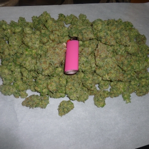 Day 91 White Lavender 3