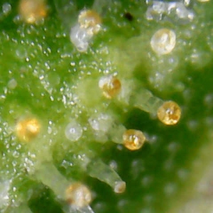 WIN_20170403_05_04_44_Pro