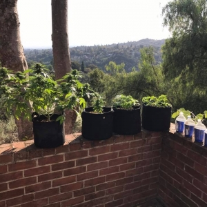 24796407_10215339331221738_3910231839826859482_n