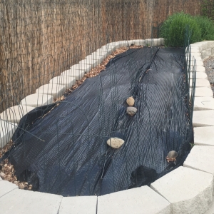 Media 'South Bed' in category 'Photos'