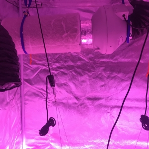 D10B0A16-14D7-4962-9197-DB2CAC8F56D3