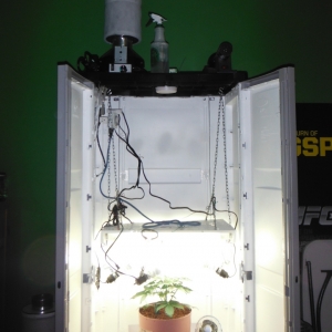 Cabinet_Aug15b_small