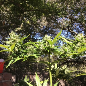 74F13C76-2641-4AB1-A37C-0DD4BACB7874