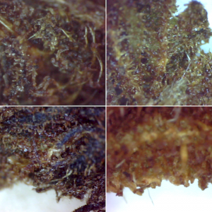 Dark Heat-Melted Look