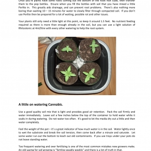 The Bedroom Gardeners Bible 2019-17