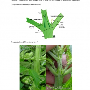 The Bedroom Gardeners Bible 2019-19