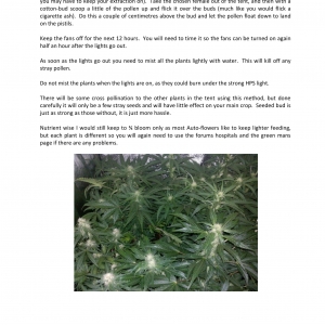 The Bedroom Gardeners Bible 2019-27