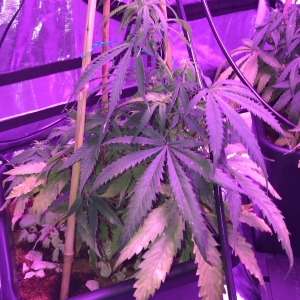 5B682D1B-8CCC-4F01-8836-E7D213AB2133