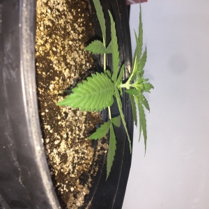 A8F5C0C3-042F-4E5B-B672-A15ED5440581