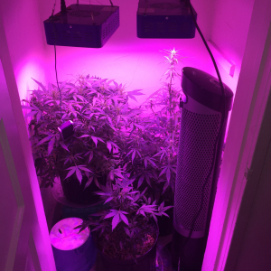 8D6ED3D1-3E16-433A-B799-06C4CBDF5F04