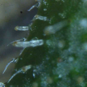 WIN_20190813_23_34_28_Pro