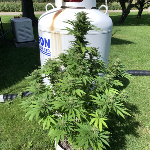 64BDD1E1-0155-4DB1-846B-C08B3E50C989