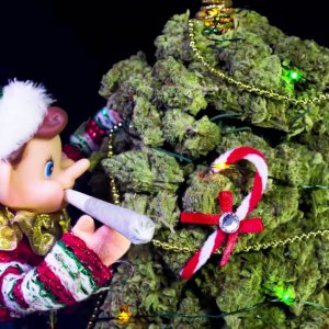 maxresdefault (3).jpg