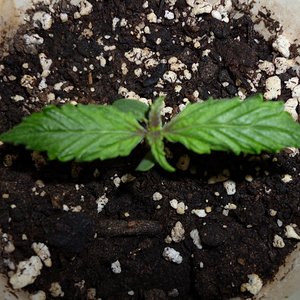 P1040610 (640x480).jpg