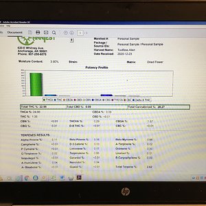 Toofless Alien Test results
