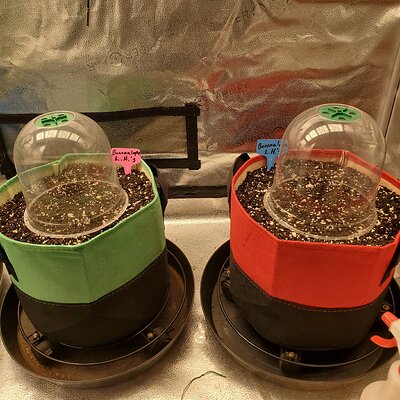 20250426_105413 - Copy.jpg