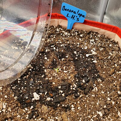 20250505_154533 - Copy.jpg