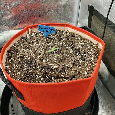 20250513_090809 - Copy.jpg