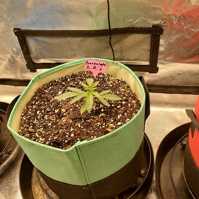 20250513_090805 - Copy.jpg