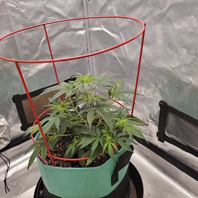 20250527_091958 - Copy.jpg