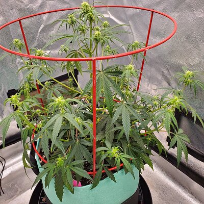 20250602_122623 - Copy.jpg